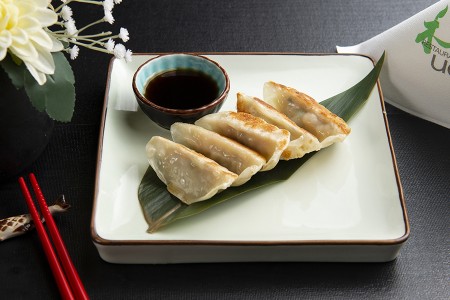 Gyoza Japonais grilles aux poulet